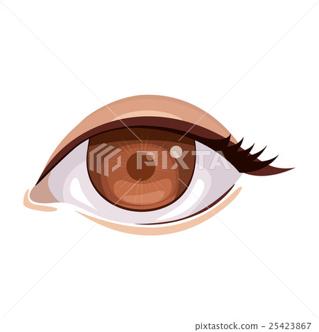 Isolated eye and look concept Isolated eye and look concept 25423867