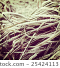 Frosty winter grass background 25424113