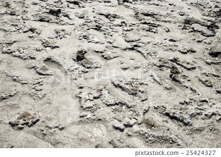 The crust of salt on the bottom the curative The crust of salt on the bottom the curative 25424327