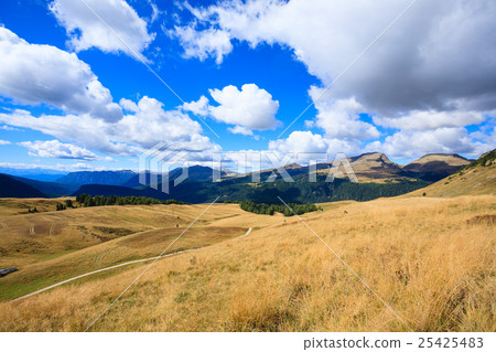 Italian Alps panorama 25425483