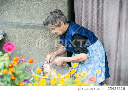 Senior woman cleaning and washing freshly Senior woman cleaning and washing freshly 25425626