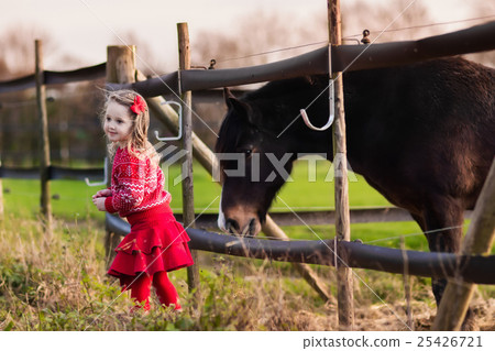 Kids feeding horse on a farm 25426721