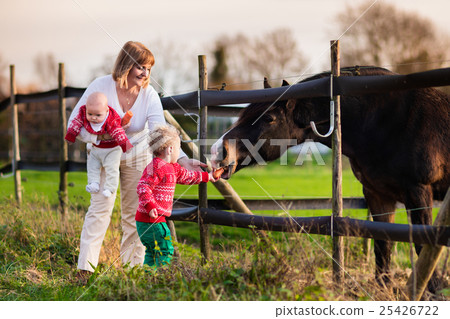 Family with kids feeding horse 25426722
