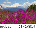 富士和Mitsuba杜鵑花 25426919