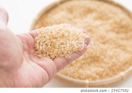 Brown rice white back 25427502