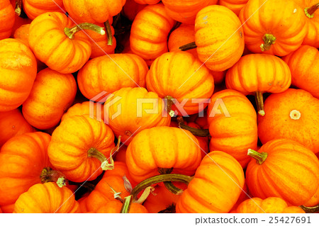 Halloween pumpkin party 25427691