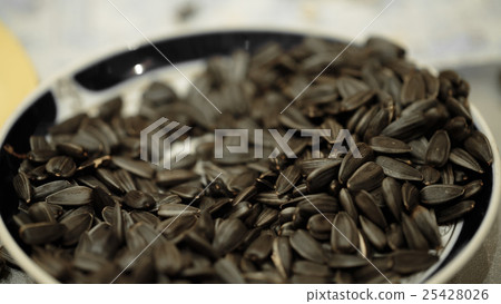 Seeds of sunflower closeup 25428026