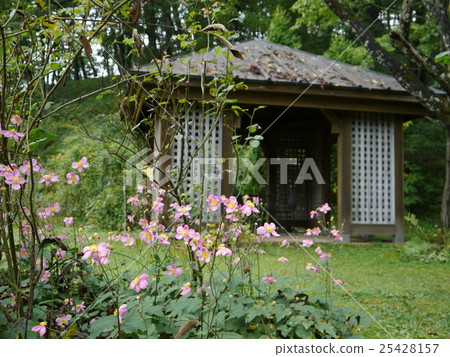 Touya in Karuizawa Tariasen 25428157