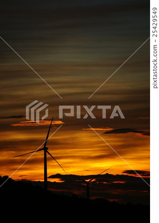 Morning glow of Amagi Renju 25429549