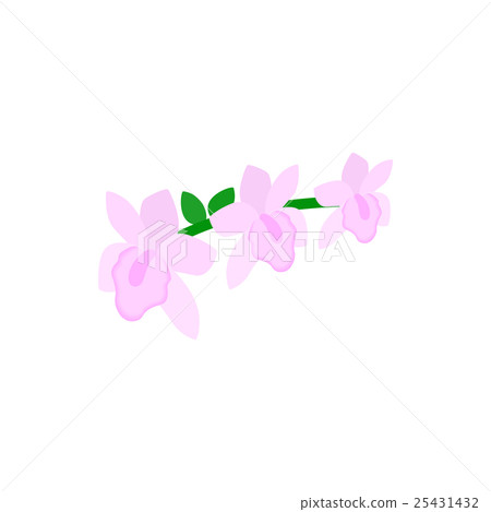 Pink orchid icon, isometric 3d style 25431432