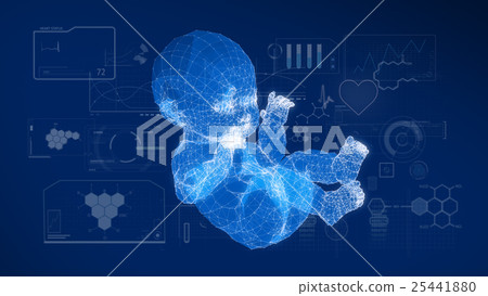 Wire frame of the model of the baby with graphics. 25441880