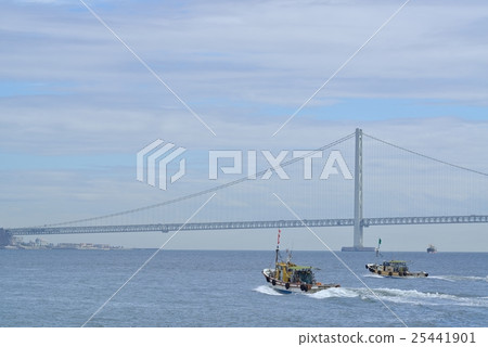 從明石漁港的防波堤的明石橋的視圖 25441901