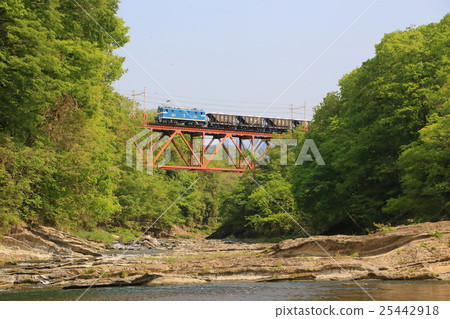 Chichibu railway freight train and fresh green 25442918