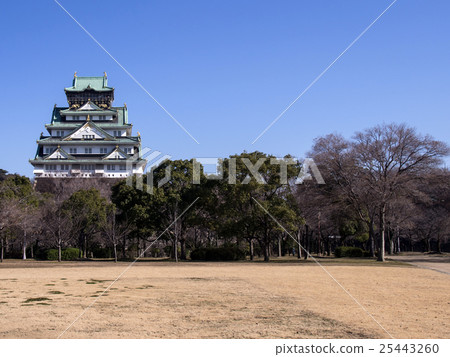 冬天大阪城堡 25443260