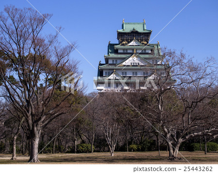 Winter Osaka Castle 25443262