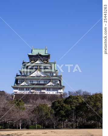Winter Osaka Castle 25443263