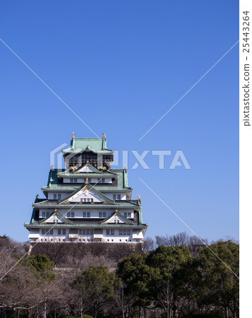 Winter Osaka Castle 25443264