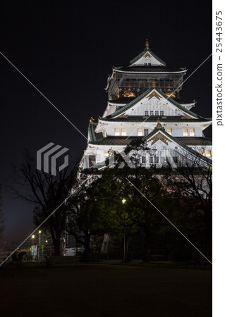Osaka Castle Light Up 25443675