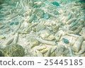 沖繩島Waterjima海灘鈷藍色的海和天空 25445185