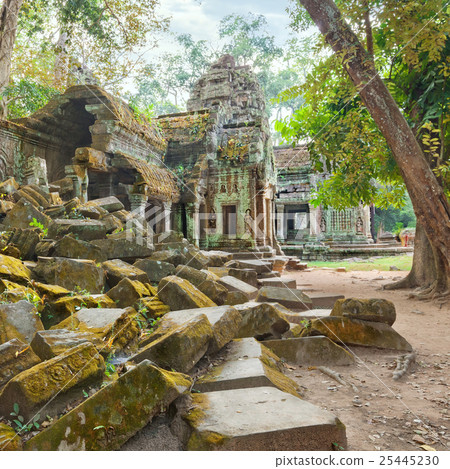 Ta Prohm Temple ancient ruins, Angkor Ta Prohm Temple ancient ruins, Angkor 25445230