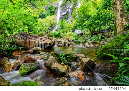Stream in tropical jungle 25445294
