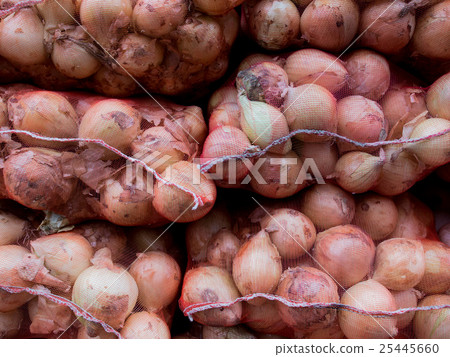 Six stacks of fresh onions.  25445660