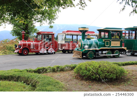 紅色和綠色機車 25446300