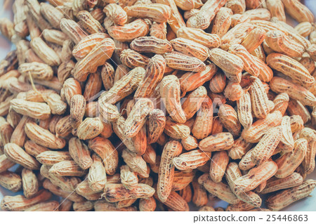 Monkey nut Monkey nut 25446863