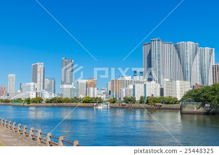 新鮮的綠色花園和建築物 新鮮的綠色花園和建築物 25448325