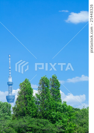 新鮮的綠樹和天空樹塔 新鮮的綠樹和天空樹塔 25448326