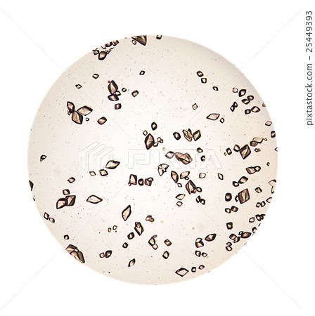 cells science background. 25449393