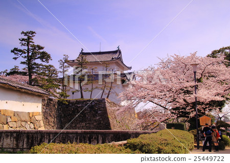 名古屋城(名古屋市)的櫻花 名古屋城(名古屋市)的櫻花 25449722