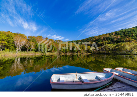 Autumn leaves Shiga Kogen Kidoike 25449991