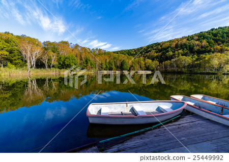 Autumn leaves Shiga Kogen Kidoike 25449992