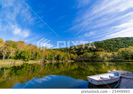Autumn leaves Shiga Kogen Kidoike 25449993