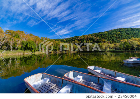 Autumn leaves Shiga Kogen Kidoike 25450004