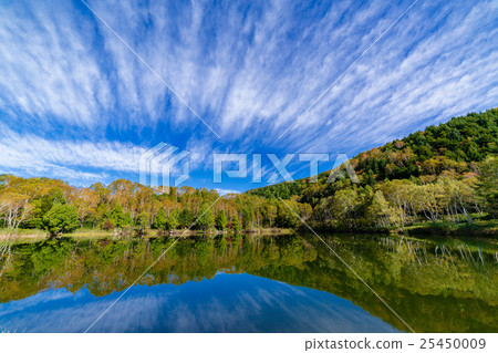 Autumn leaves Shiga Kogen Kidoike 25450009