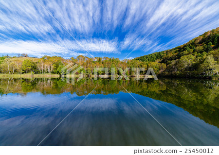 Autumn leaves Shiga Kogen Kidoike 25450012
