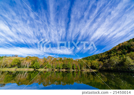 秋葉滋賀高原Kidoike 25450014