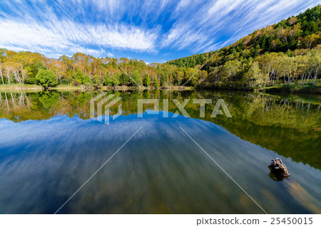 秋葉滋賀高原Kidoike 25450015