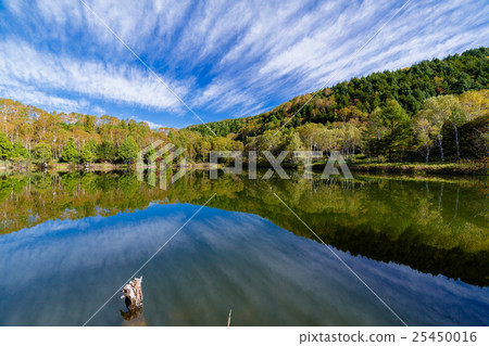 秋葉滋賀高原Kidoike 秋葉滋賀高原Kidoike 25450016