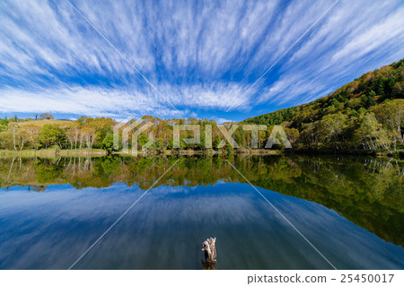 秋葉滋賀高原Kidoike 秋葉滋賀高原Kidoike 25450017