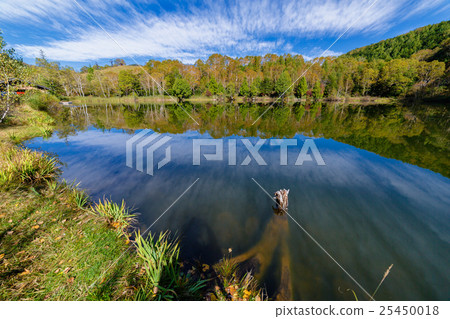 Autumn leaves Shiga Kogen Kidoike 25450018