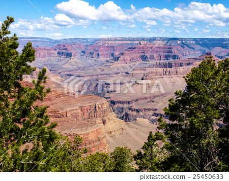 Red rocks of Grand Canyon 25450633