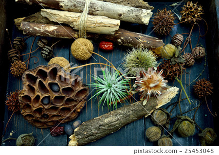Tree nuts  Tree nuts 25453048
