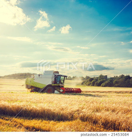 Combine Harvester on a Wheat Field. Agriculture. Combine Harvester on a Wheat Field. Agriculture. 25453084