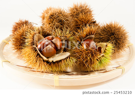 Autumn taste chestnut Autumn taste chestnut 25453210