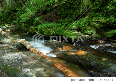 Natural treasure in Yokokawa 25454725