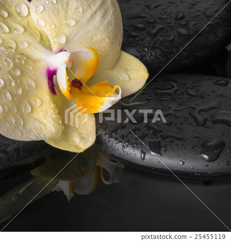 Beautiful spa set of yellow orchid (phalaenopsis) 25455119