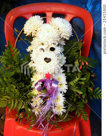 Or Yehuda chrysanthemum dog on a red chair 2010 Or Yehuda chrysanthemum dog on a red chair 2010 25455800